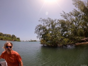 Exploring mangrove canals